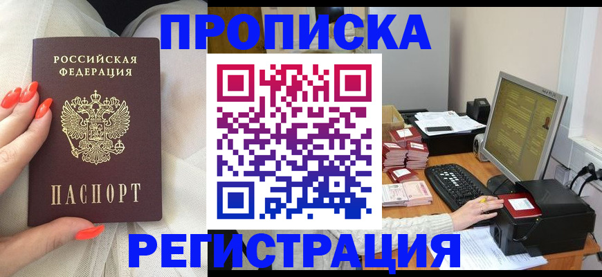 временная регистрация поиск в Курчалом